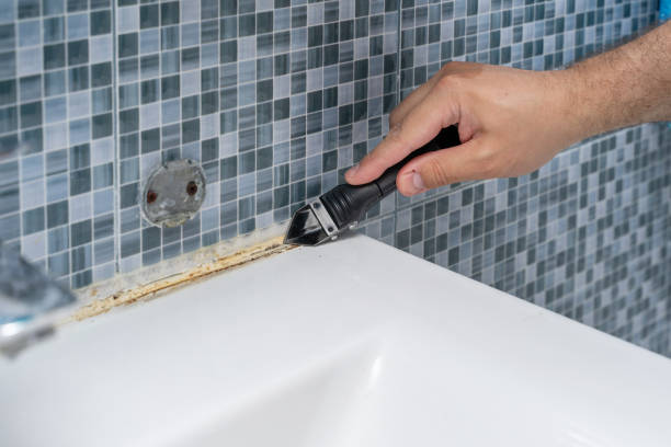Best Basement Mold Remediation in Dunnavant, AL